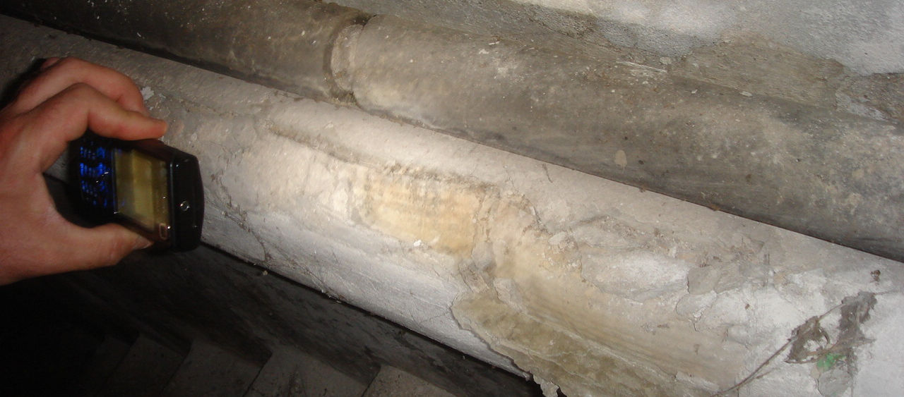 Image1