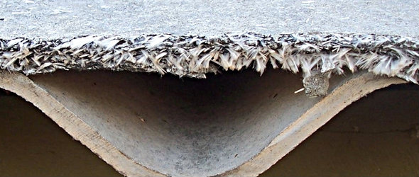 asbestos_consultancy